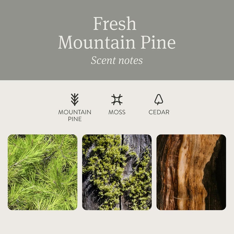 Drift Car Air Freshener - The Original Wood Air Freshener - Car Odor Eliminator - Long Lasting Scent - Metal Clip - Essential Oils - Clean Ingredients - Pine Scent 3 Pack Refill - NO CLIP INCLUDED - Image 4